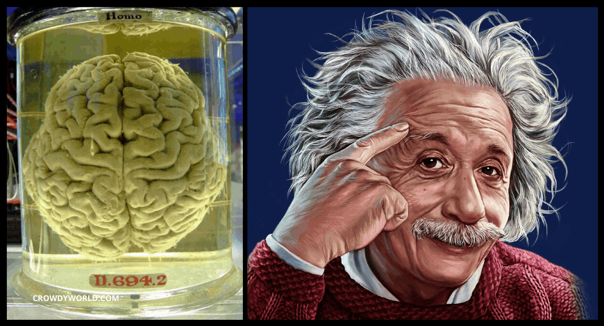 Neuro Energizer